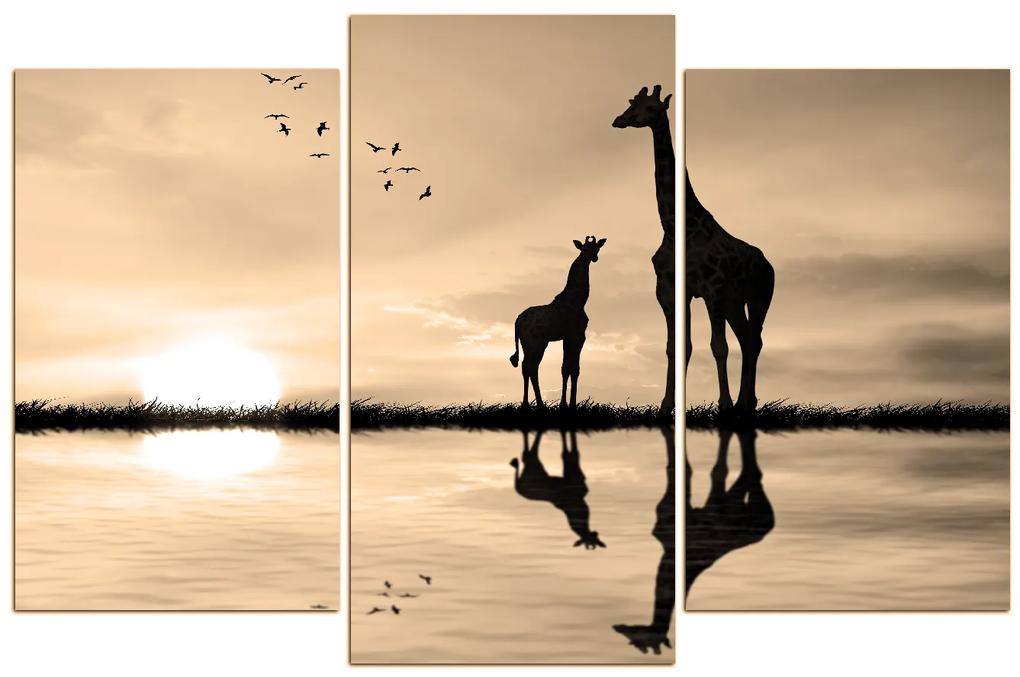 Obraz na plátne - Žirafy silueta 1919FC (105x70 cm)