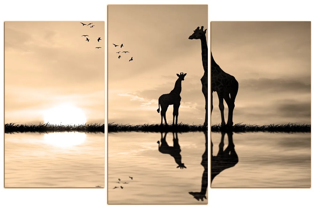 Obraz na plátne - Žirafy silueta 1919FC (135x90 cm)