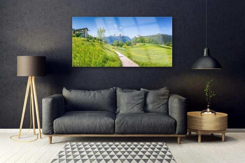 Obraz plexi Hory lúka chodník údolí 120x60 cm