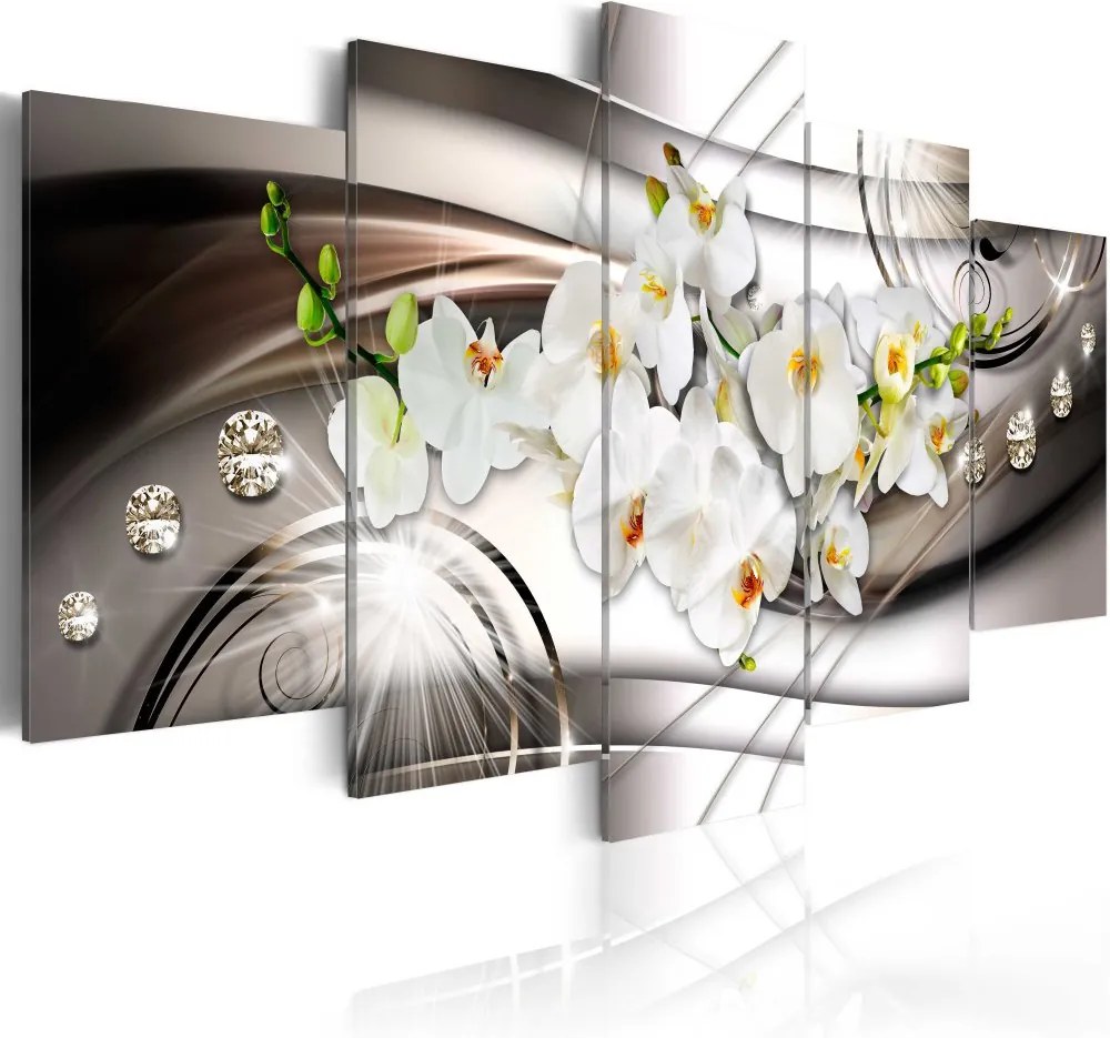 Obraz na plátne Bimago -  Orchid with Diamonds 100x50 cm
