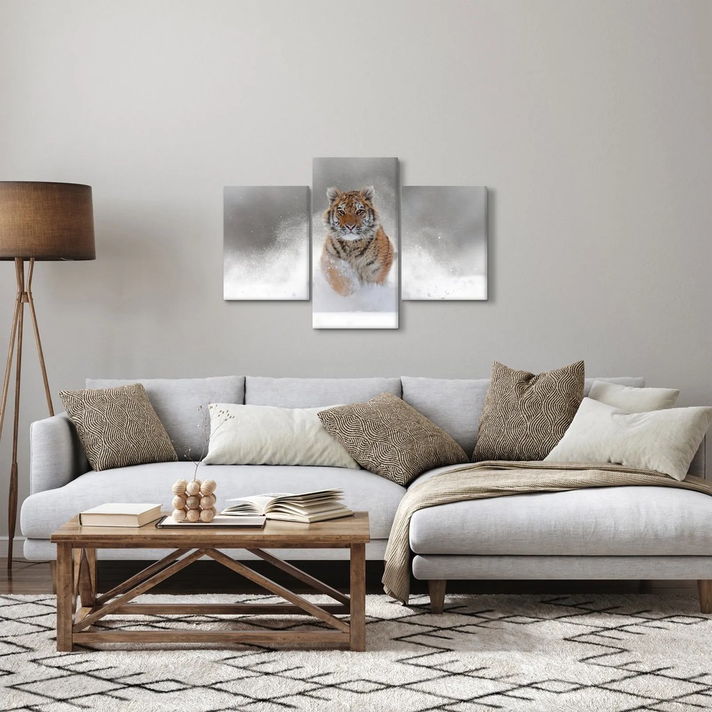 Obraz bežiaceho tigra v snehu (90x60 cm)