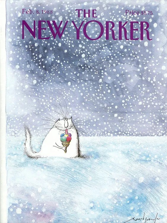 Ilustrácia The NY Magazine Cover 36