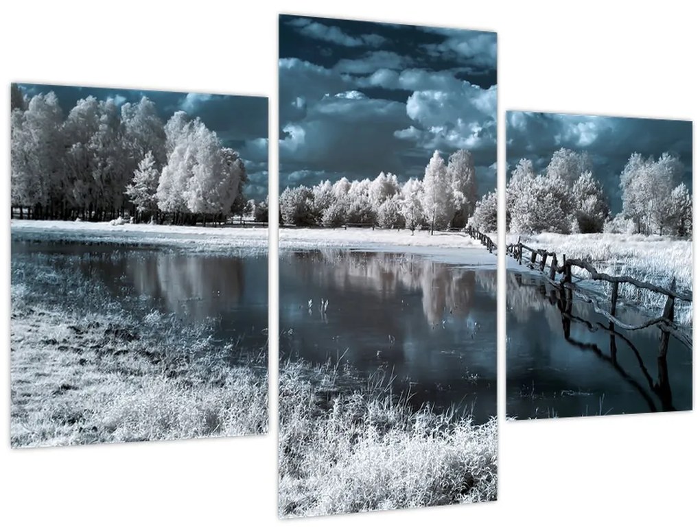 Obraz - Zamrznutá krajina (90x60 cm)