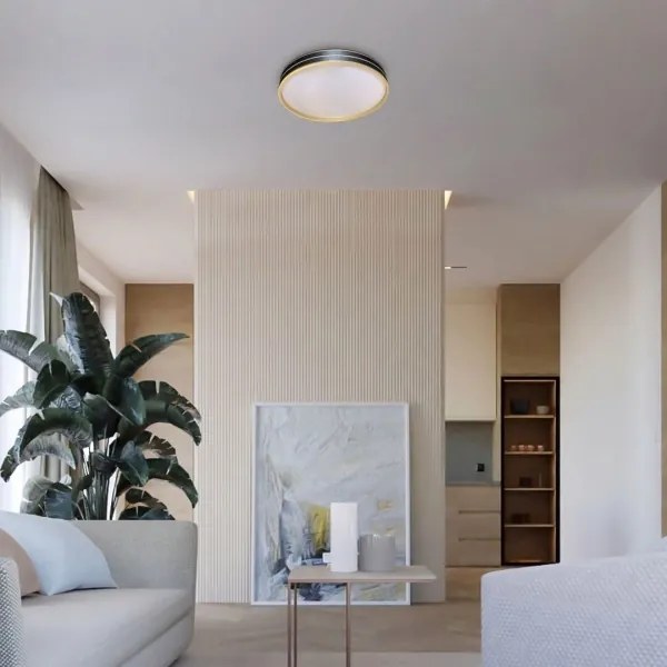 Rabalux 71141 - LED stmievateľné stropné svietidlo GANDOR LED/24W/230V 3000-6500K