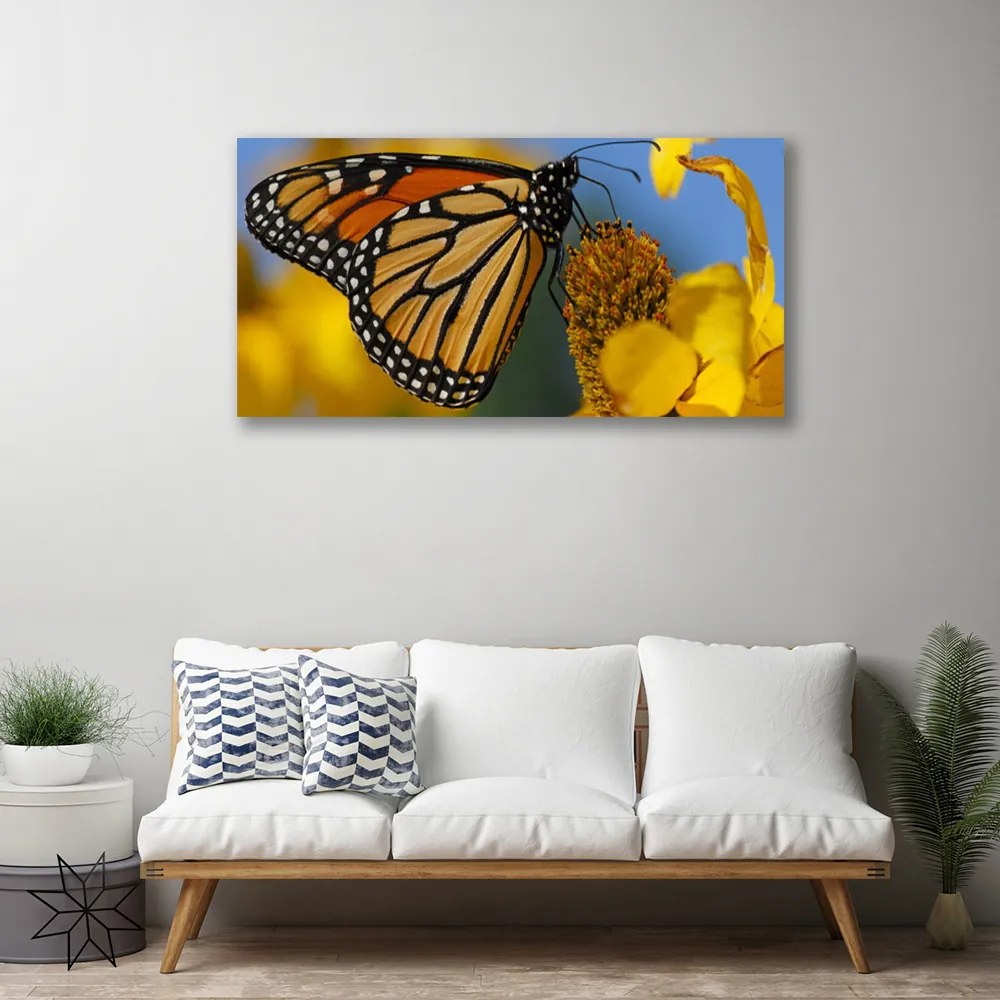 Obraz Canvas Motýľ kvet príroda 125x50 cm