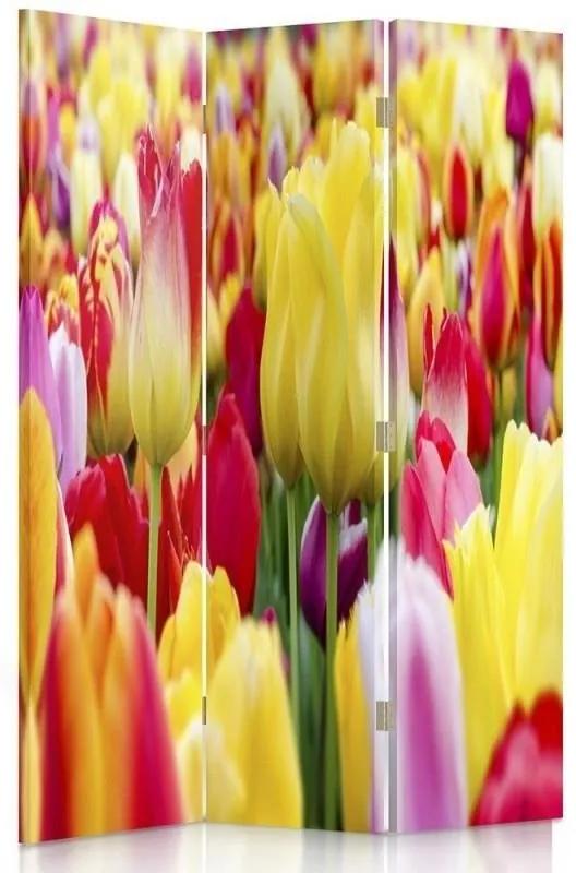 Ozdobný paraván, Pestrobarevné tulipány - 110x170 cm, trojdielny, obojstranný paraván 360°