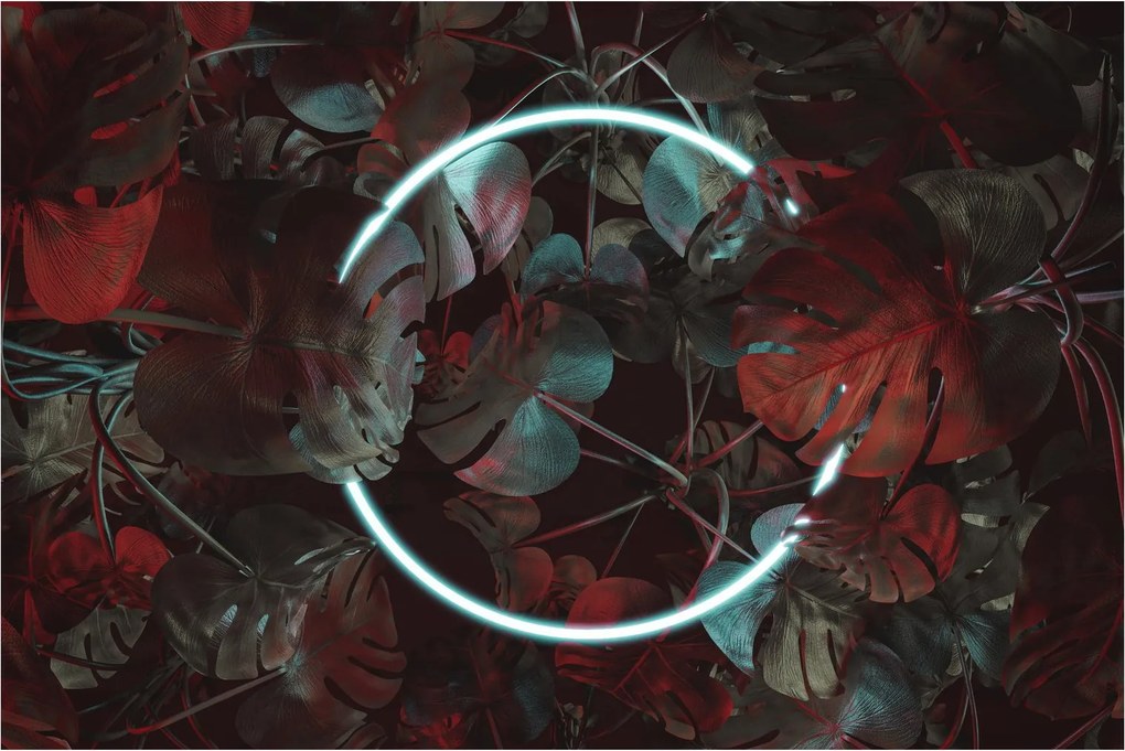 Obraz - Neónový kruh medzi palmami (90x60 cm)