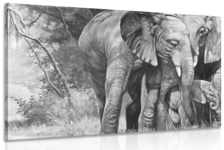 Obraz slonia rodinka v čiernobielom prevedení Varianta: 60x40