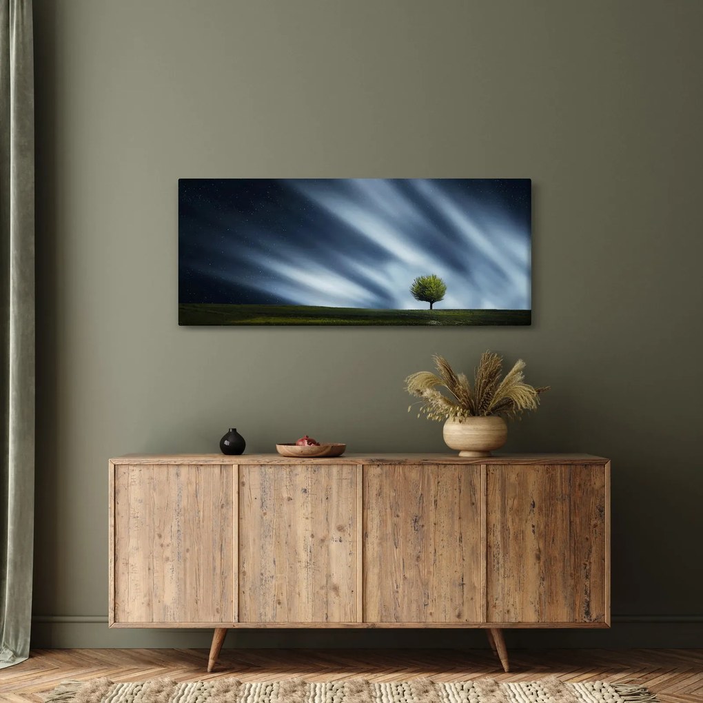 Obraz polárna žiara nad vresoviskom (120x50 cm)