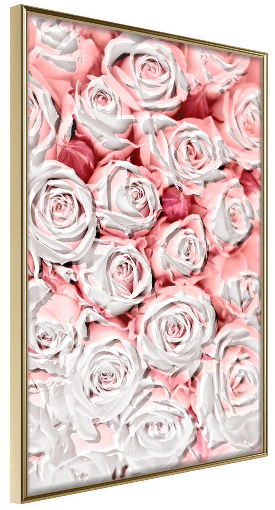 Artgeist Plagát - White Roses [Poster] Veľkosť: 40x60, Verzia: Zlatý rám s passe-partout