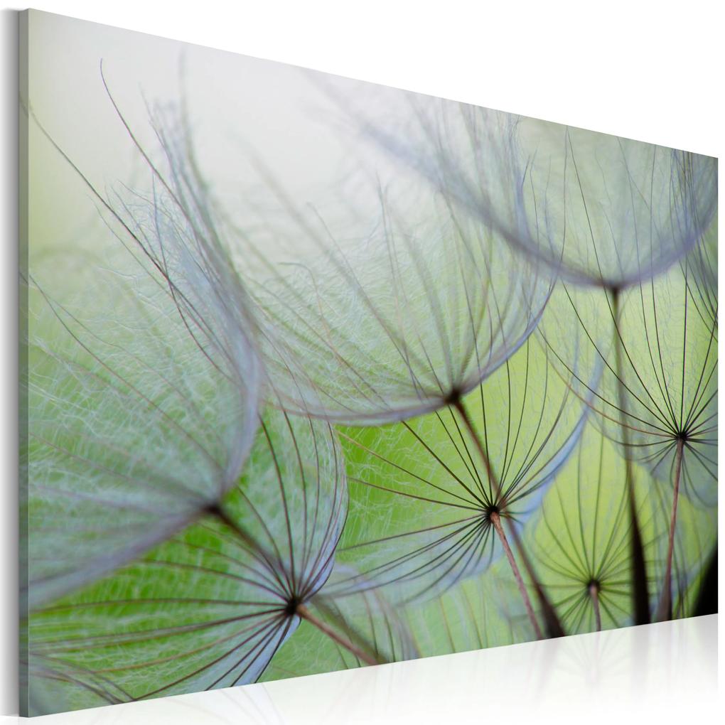 Artgeist Obraz - Dandelion in the wind Veľkosť: 120x80, Verzia: Premium Print