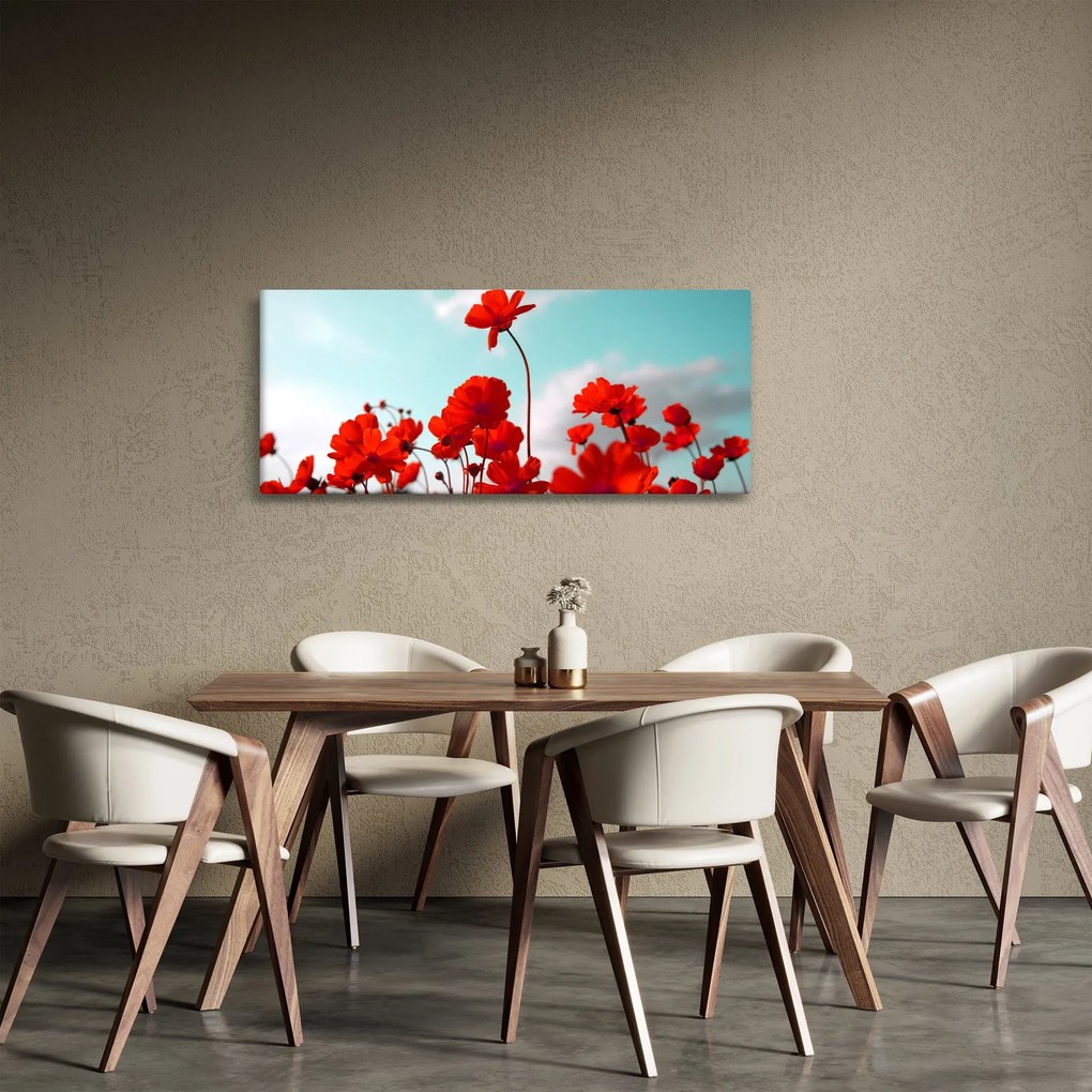 Obraz poľa s jasne červenými kvetmi (120x50 cm)