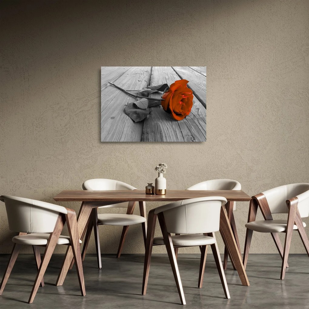 Sklenený obraz - Oranžová ruža (70x50 cm)