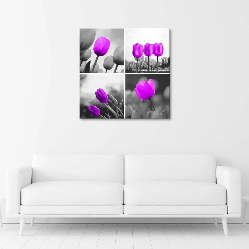 Obraz na plátně Sada fialových tulipánů - 60x60 cm