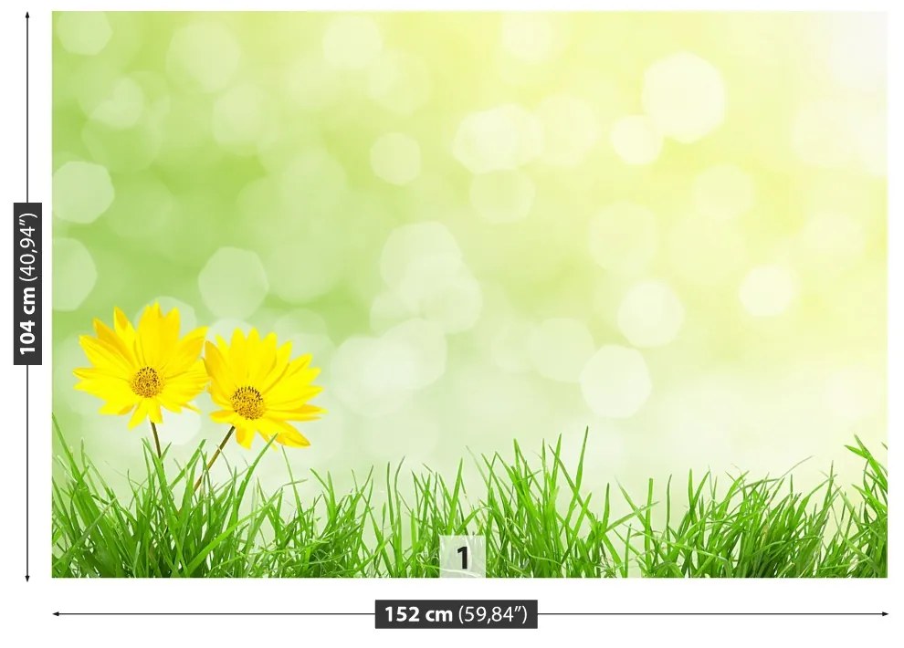Fototapeta Vliesová Kvety tráva 416x254 cm