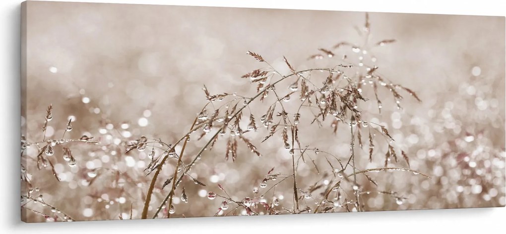 Obraz - Lúka v hnedých tónoch (120x50 cm)