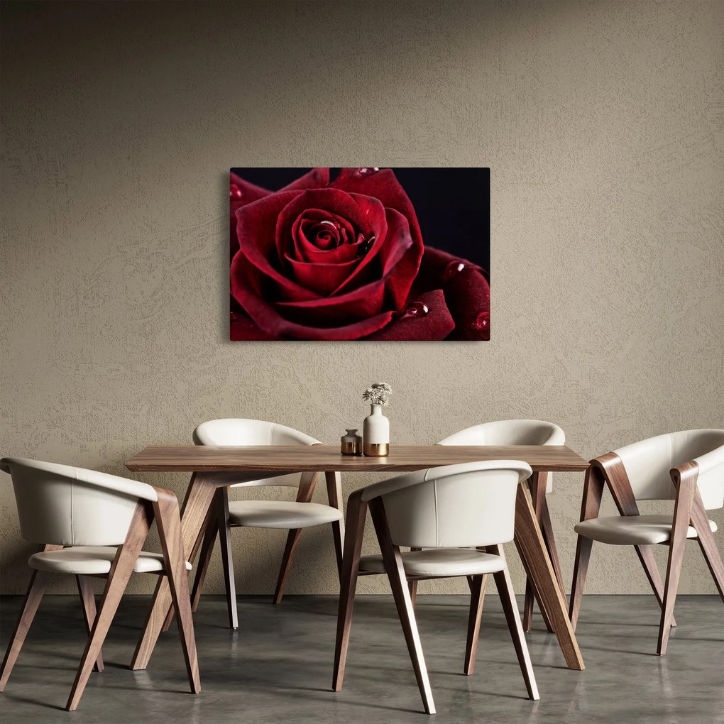 Obraz - Červená ruža (90x60 cm)