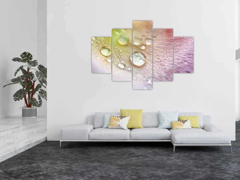 Obraz - Kvapky rosy (150x105 cm)