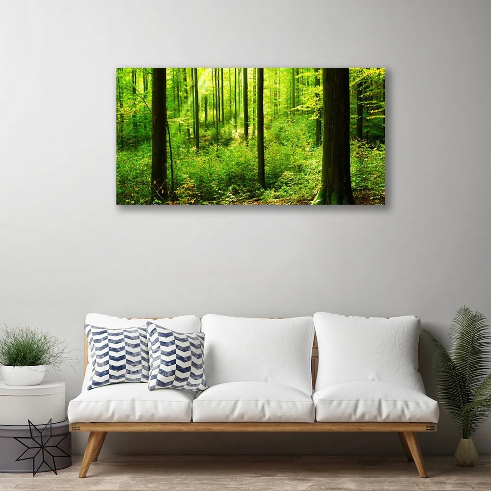 Obraz Canvas Les zeleň stromy príroda 120x60 cm