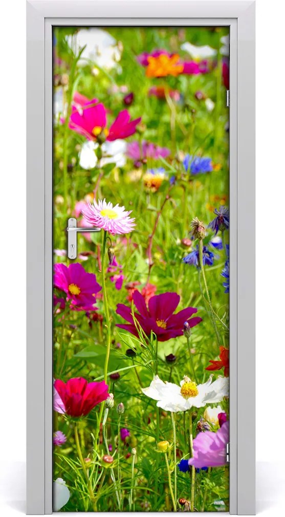 Fototapeta na dvere  poľné kvety