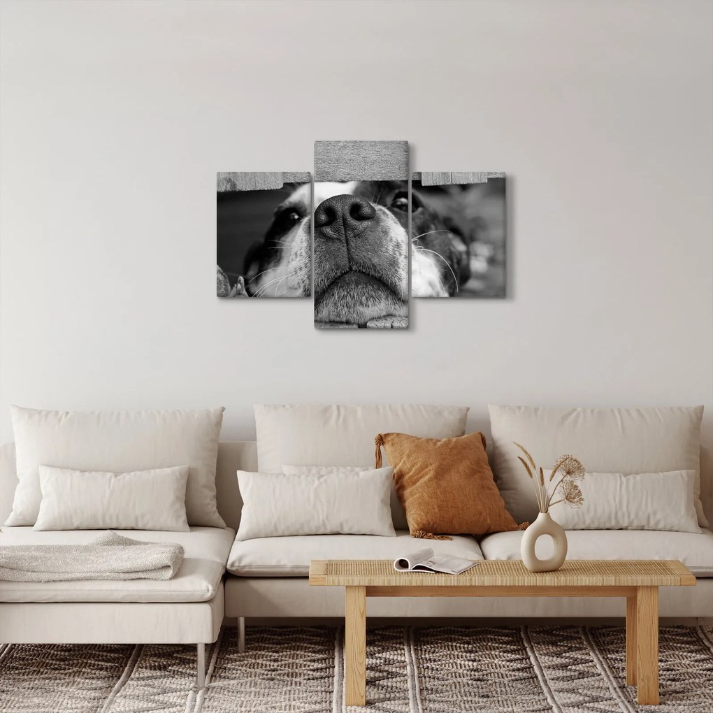 Obraz psa (90x60 cm)