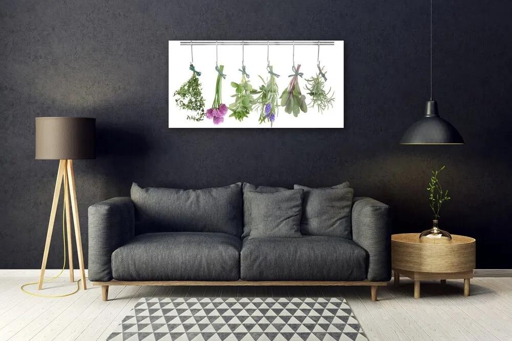 Skleneny obraz Plátky rastlina kuchyňa 125x50 cm