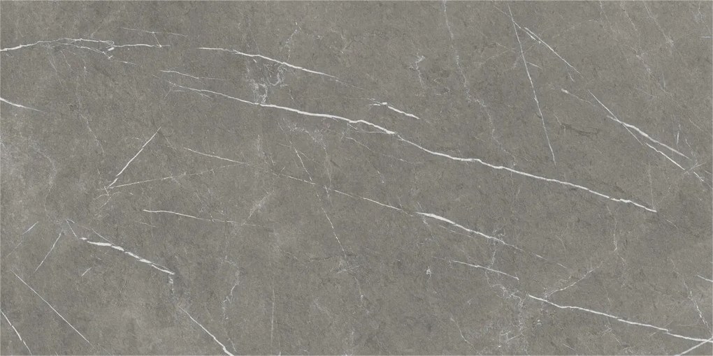 Dlažba Eternal Dark Natural 60x120 R