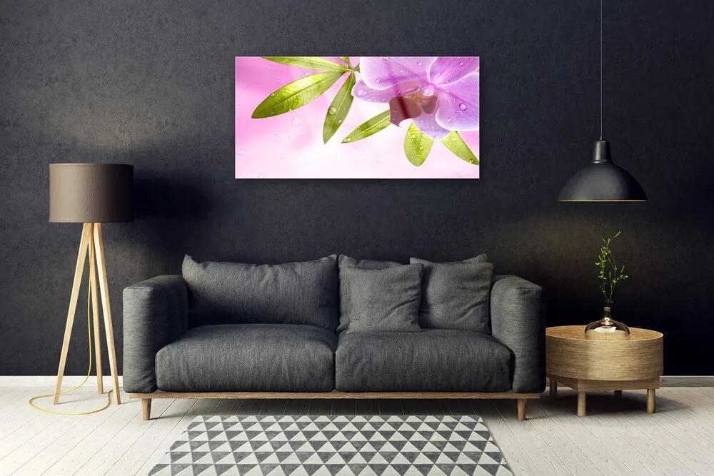 Obraz na skle Kvet listy rastlina 120x60 cm