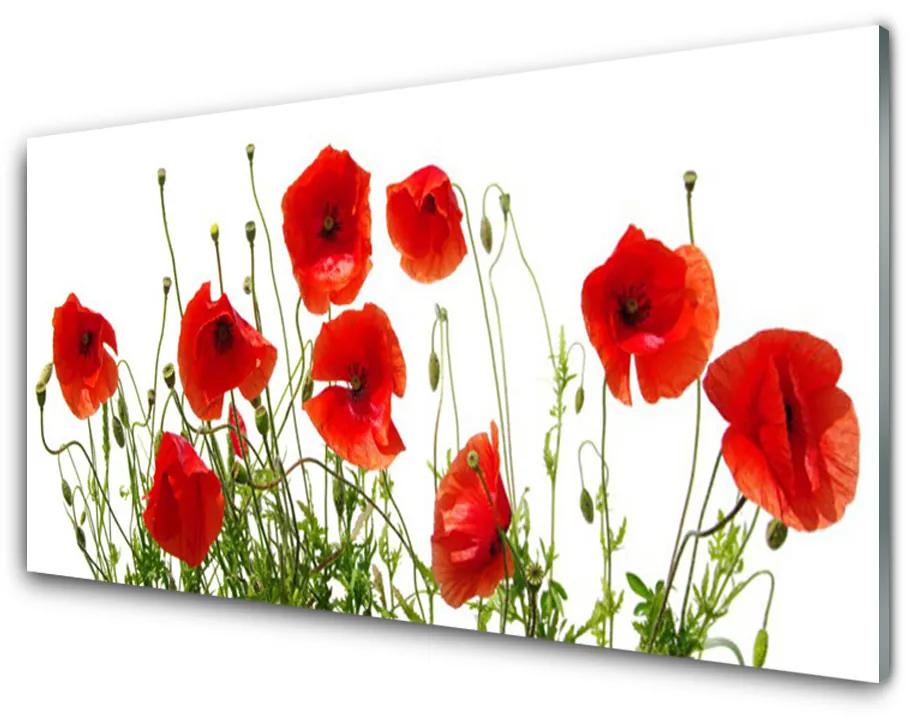 Obraz plexi Maky kvety príroda 140x70 cm