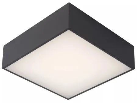 Lucide 27816/10/29 - LED Kúpeľňové stropné svietidlo ROXANE LED/12W/230V IP54