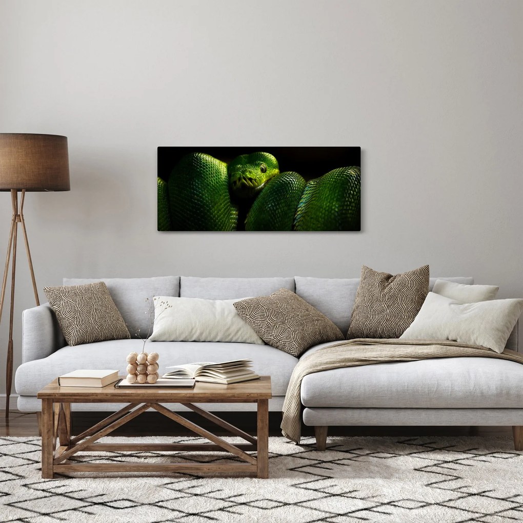 Obraz - Zelený had (120x50 cm)