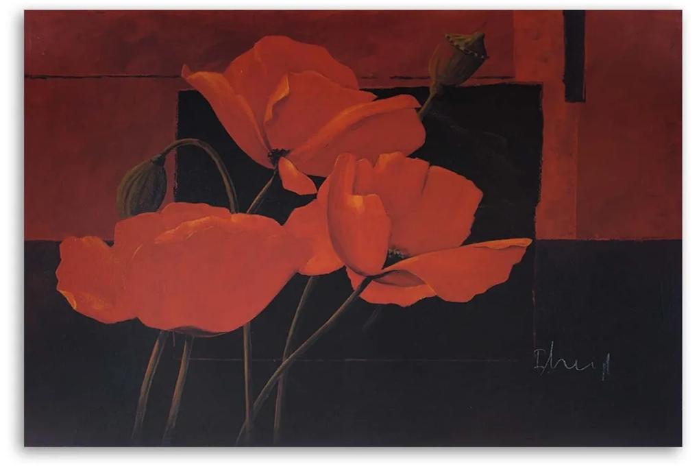 Obraz na plátně Polní máky Květiny Červená - 90x60 cm