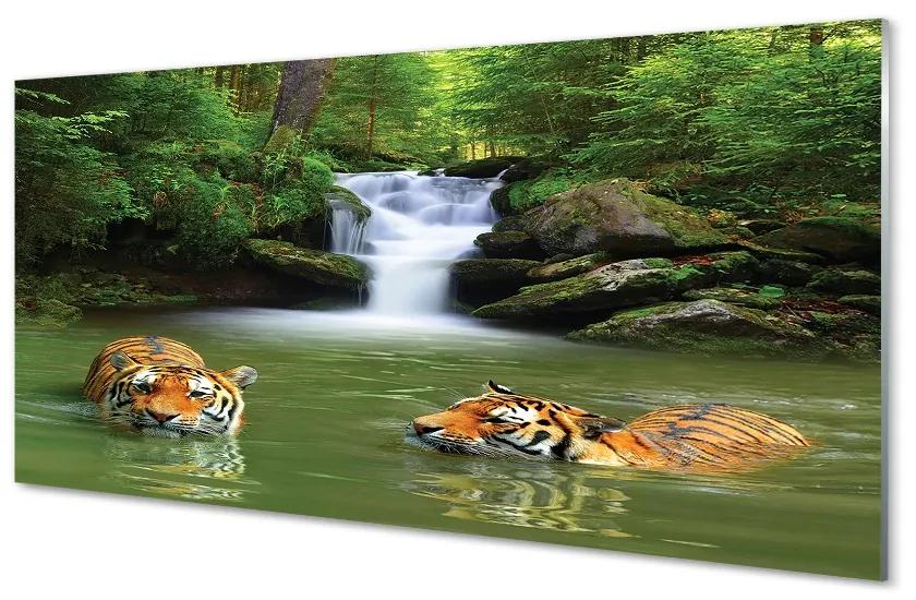 Sklenený obraz vodopád tigre 140x70 cm