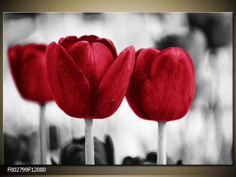 Obraz na plátne Tri červené tulipány, Obdĺžnik 120x80cm 87,92 €