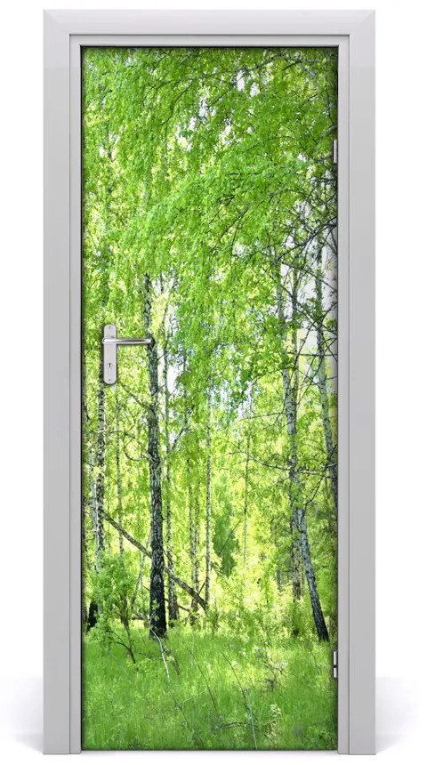 Fototapeta na dvere Břízová les 75x205 cm