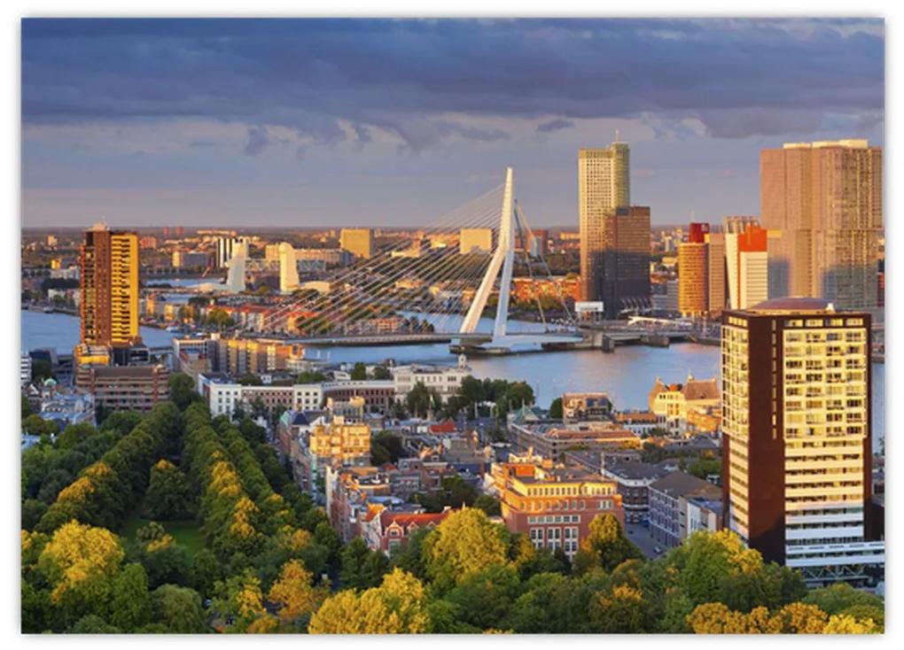 Sklenený obraz - Panorama Rotterdamu, Holandsko (70x50 cm)