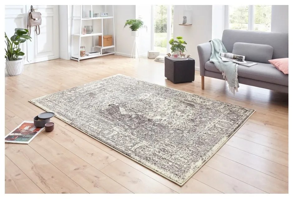 Sivo-krémový koberec Hanse Home Celebration Plume, 120 x 170 cm