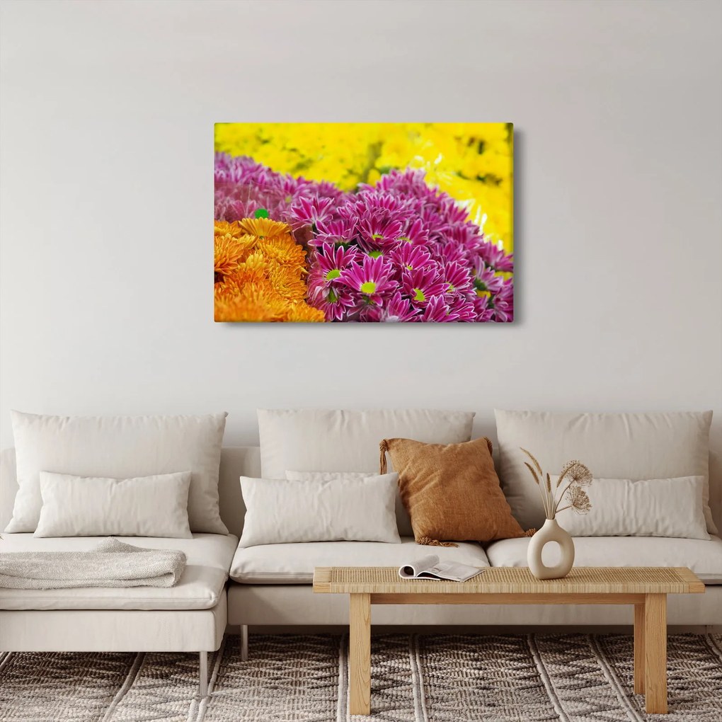 Obraz ružového kvetu (90x60 cm)