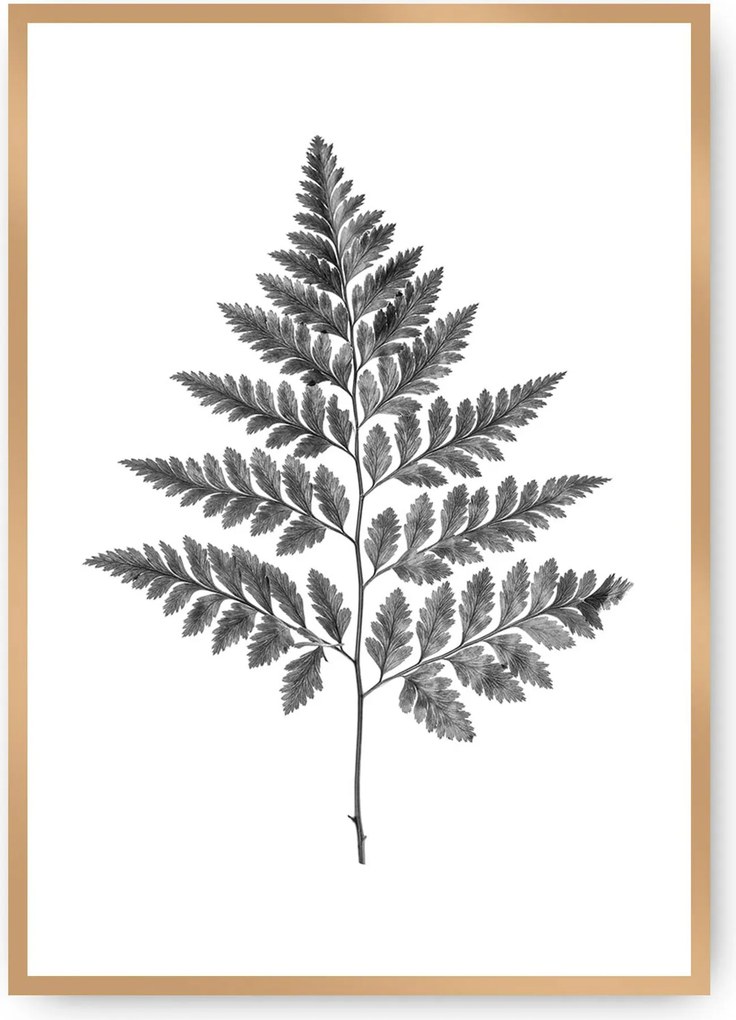 Plagát Fern Grey