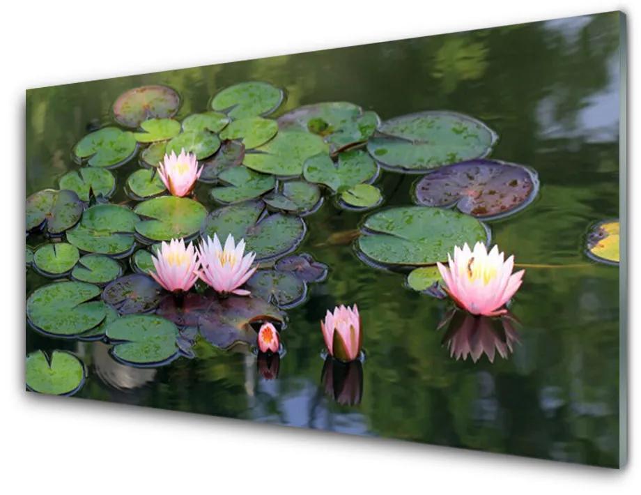Obraz plexi Vodné lilie rybník príroda 120x60 cm