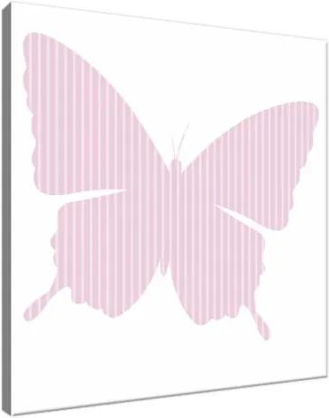 Obraz na plátne Pásikavý motýlik 30x30cm 4096A_1AI