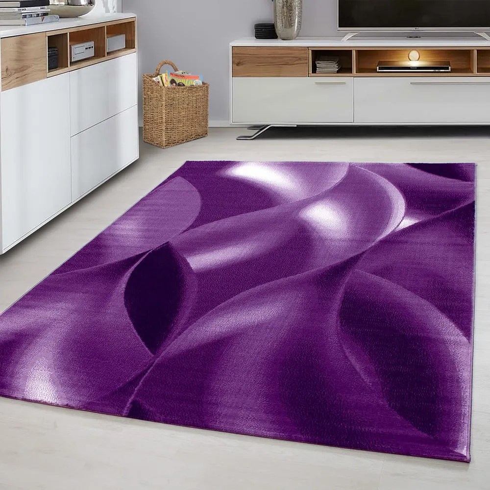Fialový koberec 200x290 cm Plus – Ayyildiz Carpets