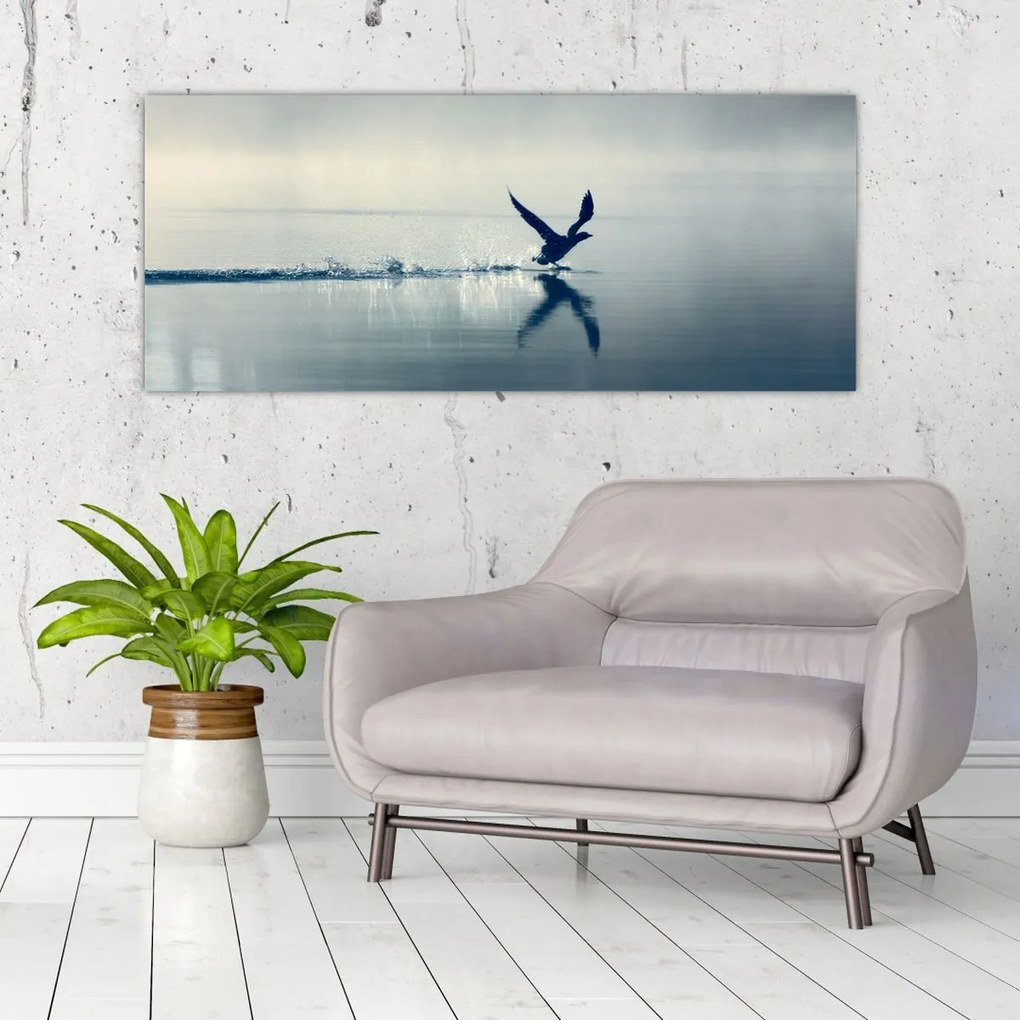 Obraz - Potáplica (120x50 cm)