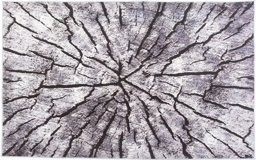 Obdĺžnikový vzorovaný koberec Neo Rozmer: 120x170 cm