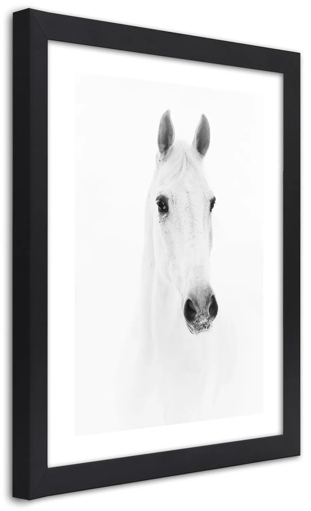 Gario Plagát Sivý kôň Farba rámu: Bez rámu, Rozmery: 70 x 100 cm