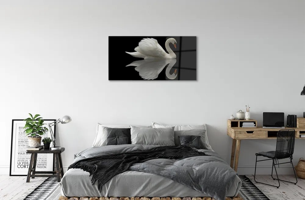 Obraz na akrylátovom skle Swan v noci 100x50 cm