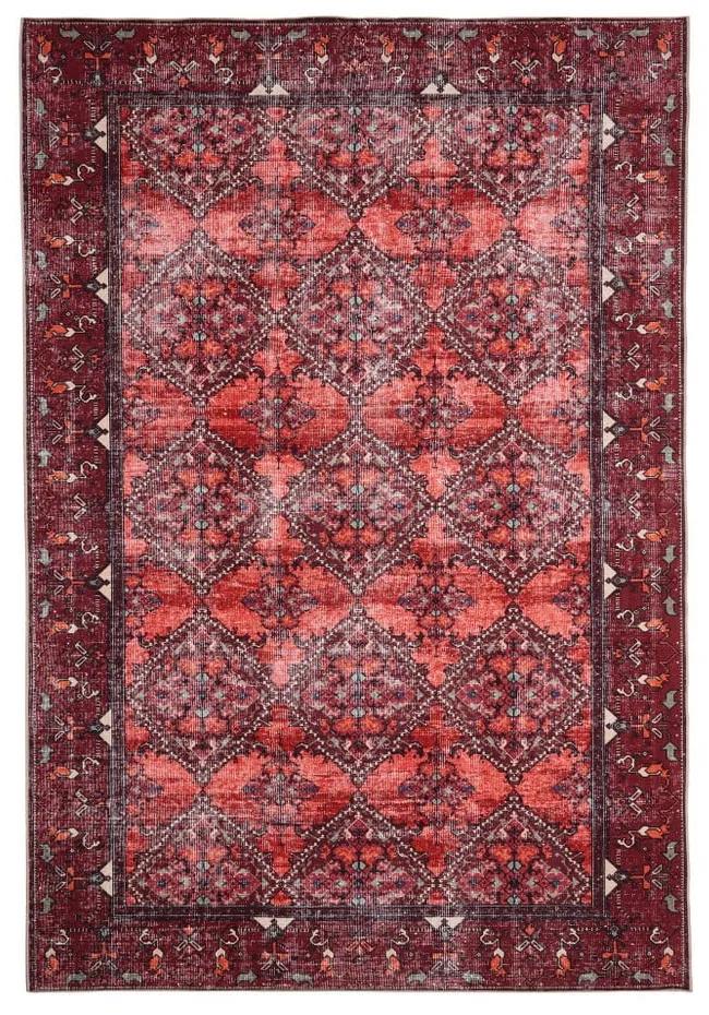 Červený koberec Floorita Bosforo Terra, 120 × 180 cm