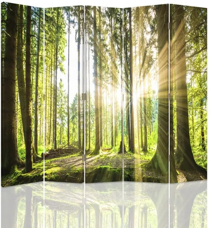 CARO Paraván - Sun In The Forest | päťdielny | obojstranný 180x150 cm