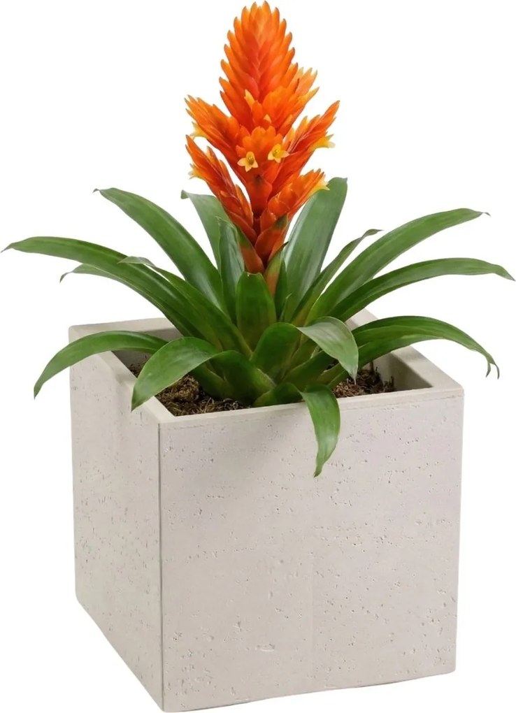 Sada 2 ks květináčů BETONIQUE 30x30/30x60 cm - výber z 4 prevedení