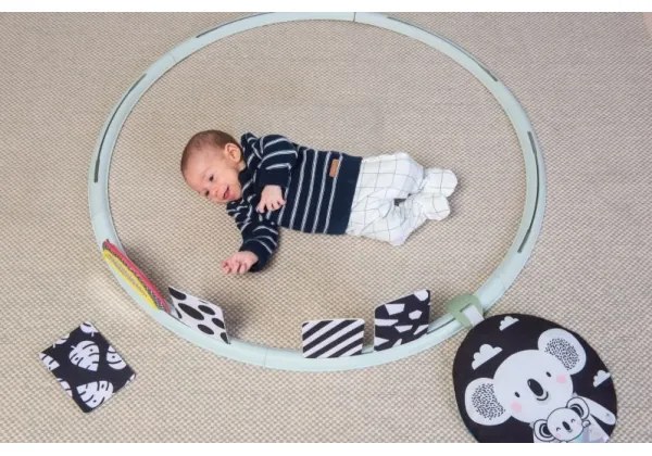 Taf Toys - Interaktívny hrací kruh pr. 90 cm koala